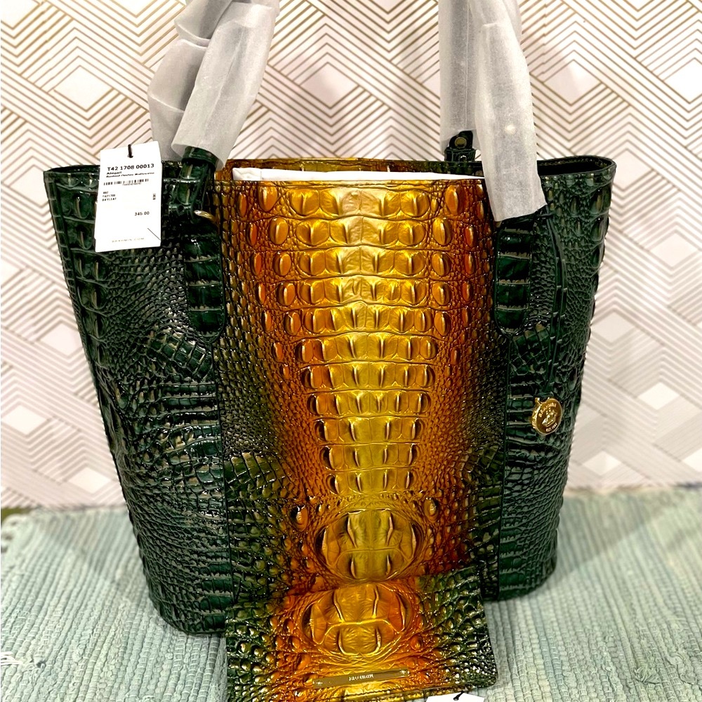 Brahmin Abigail in Bay Leaf Ombre & Ady